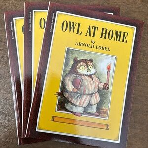 Owl At Home set of 3 books